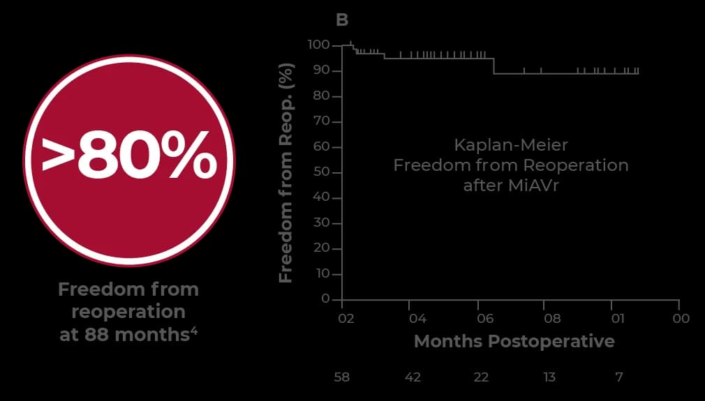 HAART 300 in minimally invasive surgery: Kaplan-Meier freedom from reoperation after MiAVr, with greater than 80 percent freedom from reoperation at 88 months; curve remains above about 90 percent for most follow-up with a modest late decline, cohort of 58 patients at baseline